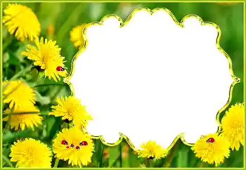 Фотоэффект с категории Лето № 132994