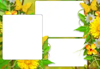 Фотоэффект с категории Лето № 138523