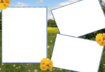 Фотоэффект с категории Лето № 13915