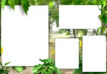 Фотоэффект с категории Лето № 141163 Фотоэффект с категории Лето № 141163