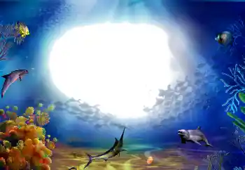 Фотоэффект с категории Лето № 142470