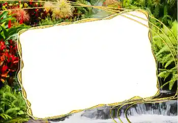 Фотоэффект с категории Лето № 14917