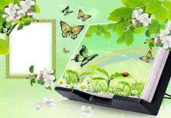 Фотоэффект с категории Лето № 150647