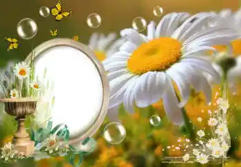 Фотоэффект с категории Лето № 153157