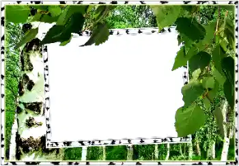 Фотоэффект с категории Лето № 154334