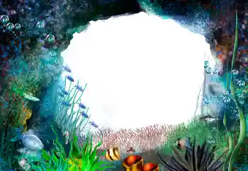 Фотоэффект с категории Лето № 155944