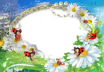 Фотоэффект с категории Лето № 1572