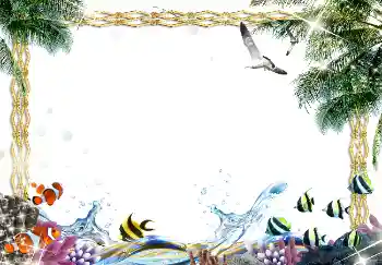 Фотоэффект с категории Лето № 1583