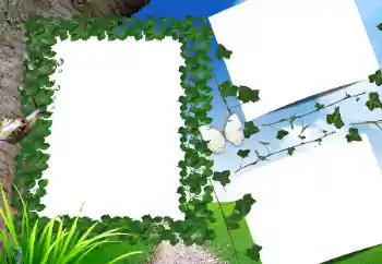 Фотоэффект с категории Лето № 160662