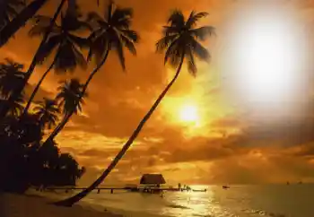 Фотоэффект с категории Лето № 164793