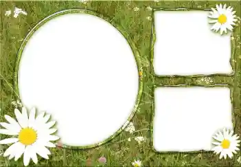 Фотоэффект с категории Лето № 166475