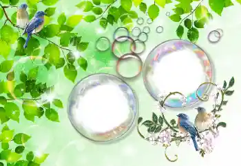 Фотоэффект с категории Лето № 167832