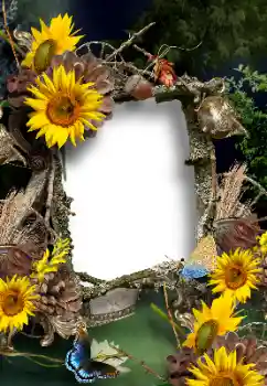 Фотоэффект с категории Лето № 167902