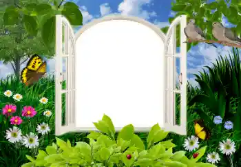 Фотоэффект с категории Лето № 16945