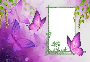 Фотоэффект с категории Лето № 179562