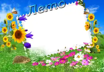 Надпись на рамке: Лето