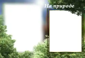 Надпись на рамке: На природе