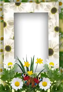 Фотоэффект с категории Лето № 19247