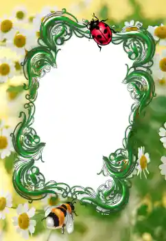 Фотоэффект с категории Лето № 2253