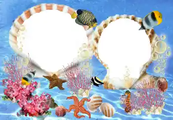 Фотоэффект с категории Лето № 23210