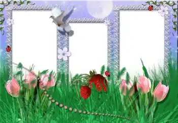 Фотоэффект с категории Лето № 2396