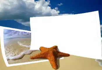 Фотоэффект с категории Лето № 25435