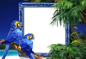 Фотоэффект с категории Лето № 26552