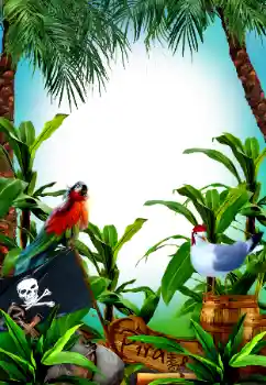 Надпись на рамке: Pirate