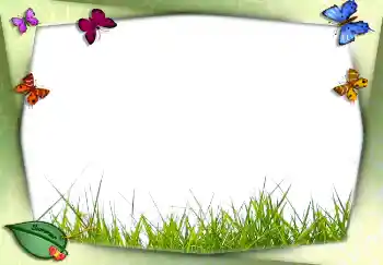 Фотоэффект с категории Лето № 2756