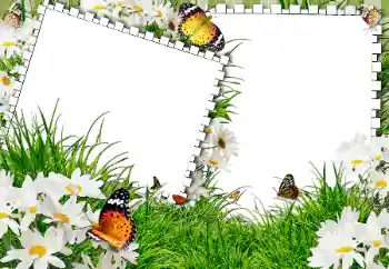 Фотоэффект с категории Лето № 31861