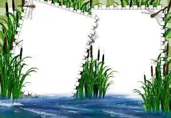 Фотоэффект с категории Лето № 31862