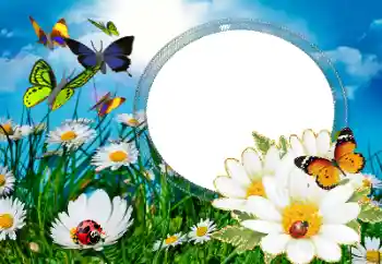 Фотоэффект с категории Лето № 40377 Фотоэффект с категории Лето № 40377