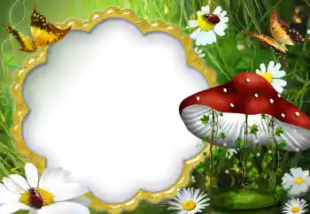 Фотоэффект с категории Лето № 5072