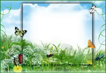 Фотоэффект с категории Лето № 50891 Фотоэффект с категории Лето № 50891