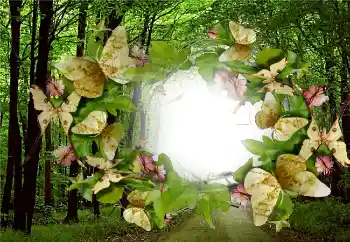 Фотоэффект с категории Лето № 5287