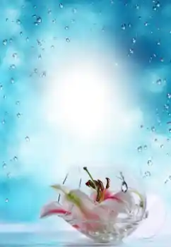 Фотоэффект с категории Лето № 64487