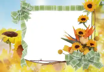 Фотоэффект с категории Лето № 68445