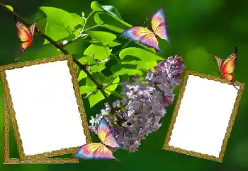 Фотоэффект с категории Лето № 81627