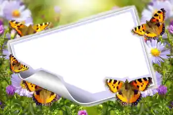 Фотоэффект с категории Лето № 83943 Фотоэффект с категории Лето № 83943