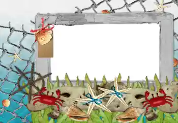 Фотоэффект с категории Лето № 85339 Фотоэффект с категории Лето № 85339