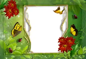 Фотоэффект с категории Лето № 8625