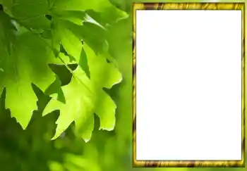 Фотоэффект с категории Лето № 88033 Фотоэффект с категории Лето № 88033