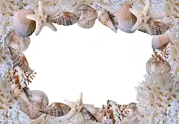 Фотоэффект с категории Лето № 88088