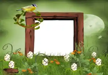 Фотоэффект с категории Лето № 9650