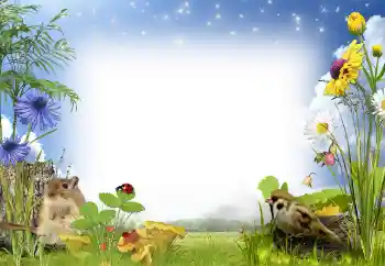 Фотоэффект с категории Лето № 97486