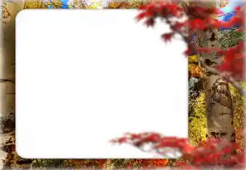Фотоэффект из категории Осень № 127331