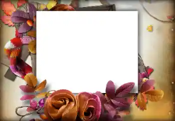Фотоэффект из категории Осень № 142460 Фотоэффект из категории Осень № 142460
