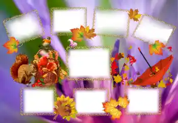 Фотоэффект из категории Осень № 143637 Фотоэффект из категории Осень № 143637
