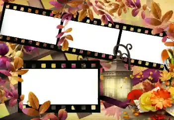 Фотоэффект из категории Осень № 144966 Фотоэффект из категории Осень № 144966
