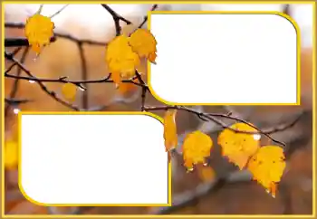 Фотоэффект из категории Осень № 145075 Фотоэффект из категории Осень № 145075